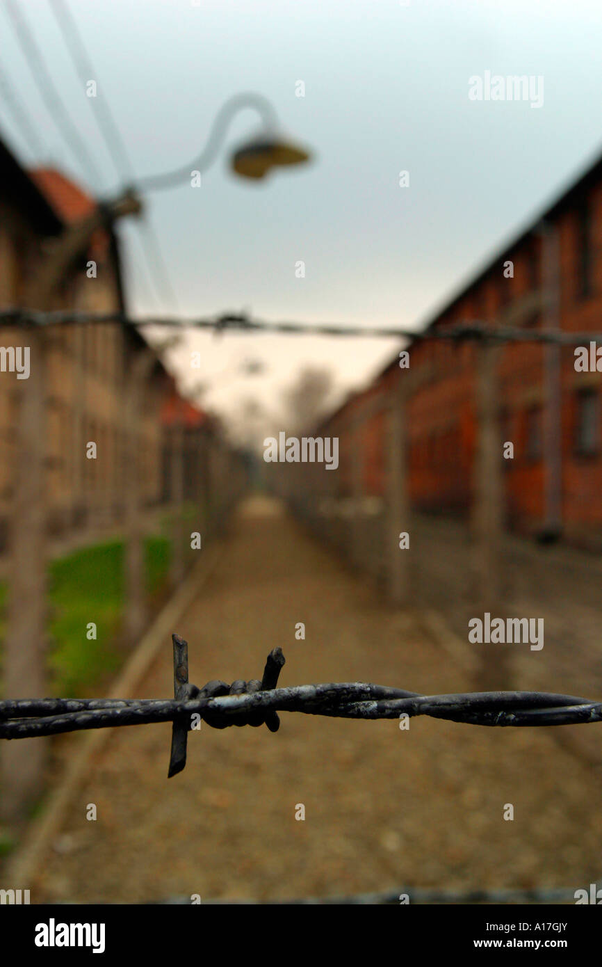 Il recinto elettrico al campo di concentramento di Auschwitz, Oswiecim, Polonia. Foto Stock