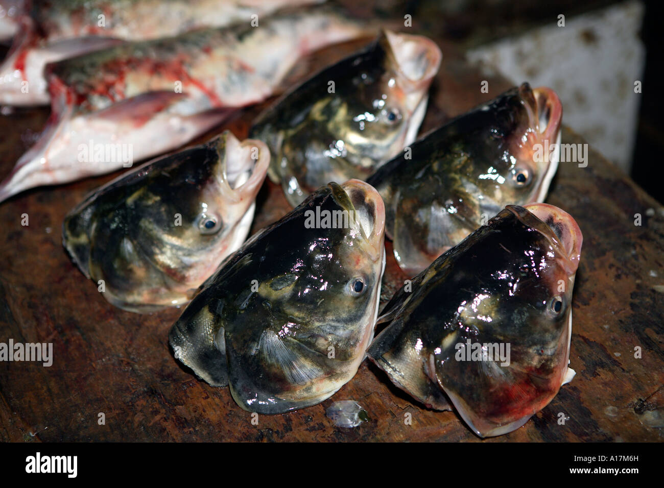 Teste di pesce, del Mercato Centrale, Shunde, Foshan, guangdong, Cina. Foto Stock