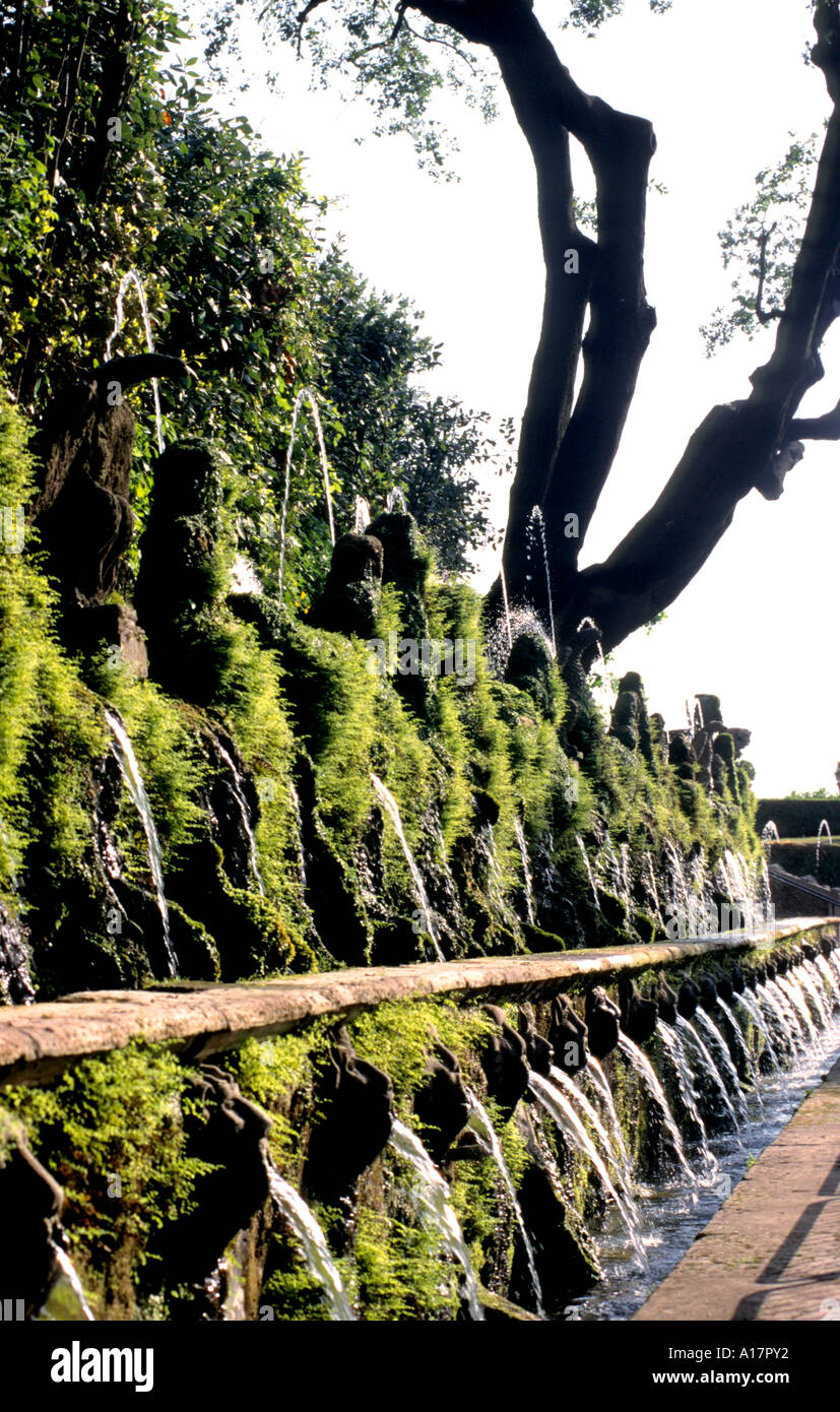 Villa d'Este Villa del 16th secolo a Tivoli, fontane rinascimentali italiane nei pressi di Roma, il cardinale Ippolito II d'Este Papa Alessandro V, Italia. Foto Stock