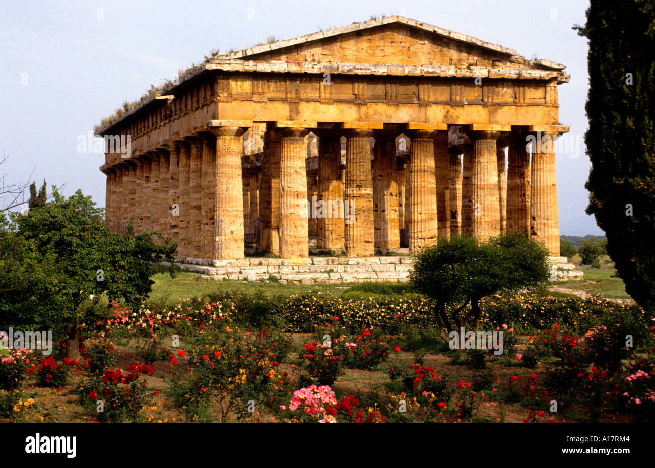 Italia Paestum stile dorico tempio di Nettuno Roman Foto Stock