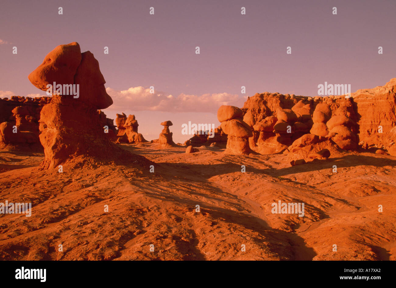 Rock scuptures, scolpite dal vento e acqua, STATI UNITI D'AMERICA, Utah, Goblin Valley State Park, 04 maggio. Foto Stock