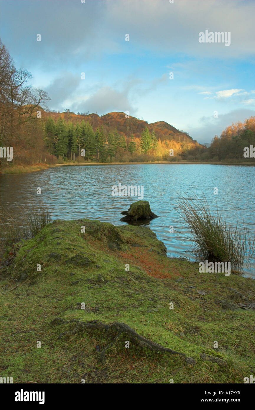 Verticale foto ritratto di Yew Tree Tarn nel Lake District inglese Foto Stock