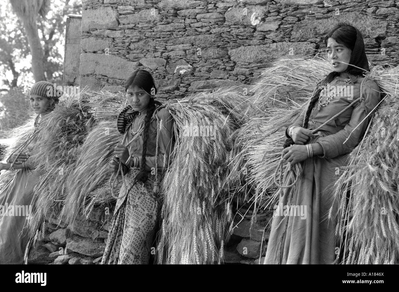 B/N di tre contadine Garwhali appoggiate contro un muro con carovane di orzo raccolte sulle spalle. Uttarkashi, Garhwal Himal, India Foto Stock