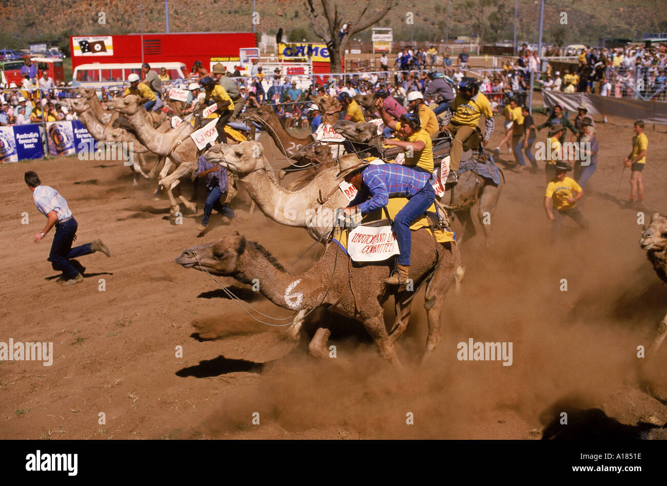 Camel racing Alice Springs Australia C Leimbach Foto Stock