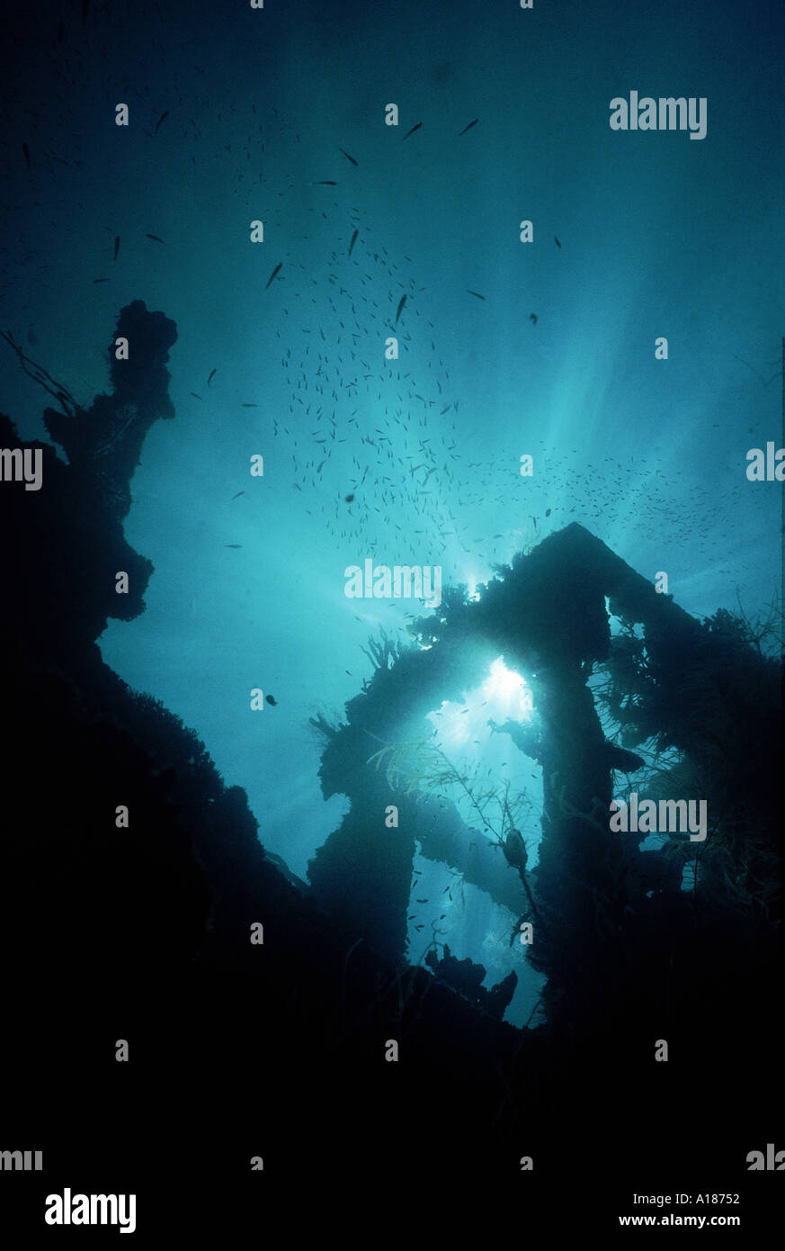 Japense guerra mondiale cannoniere relitto Corano Bay J Jackson Foto Stock