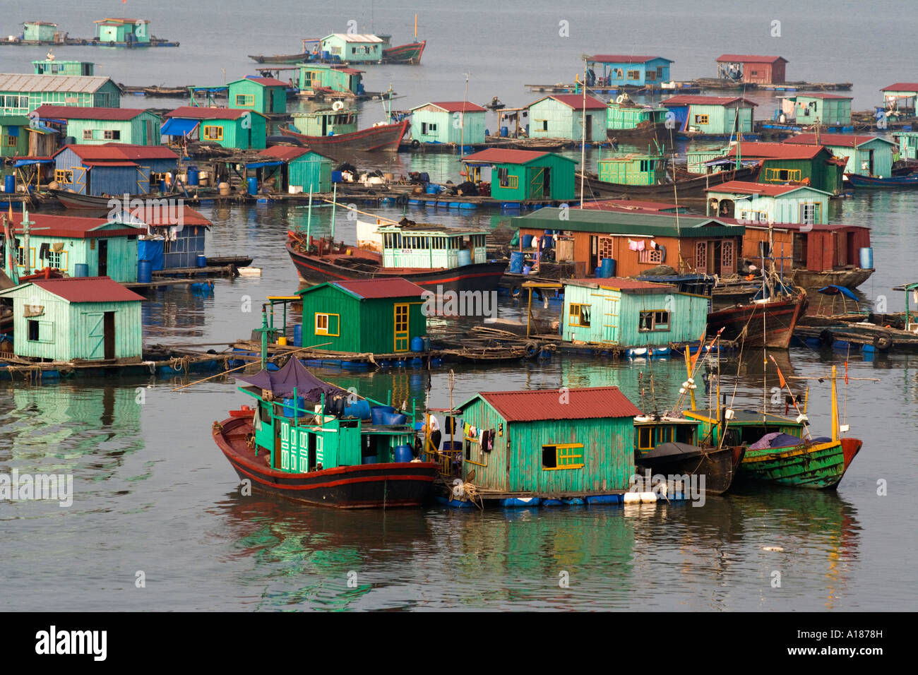 Città galleggiante Houseboat comunità in porto fuori Cat Ba Town Halong Bay Vietnam Foto Stock