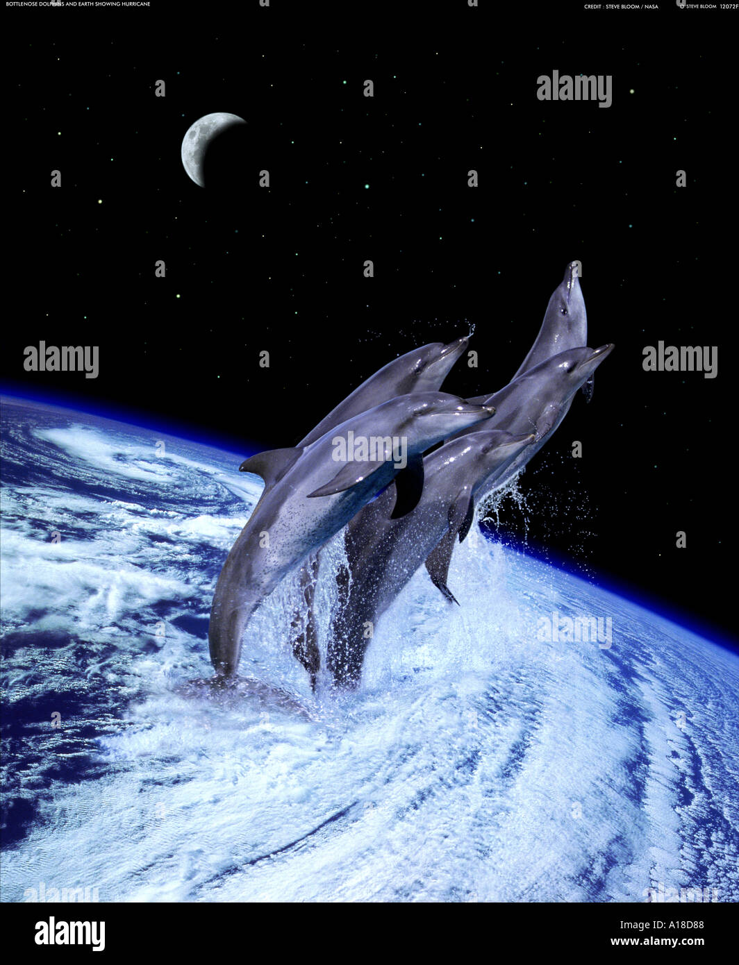 I delfini saltando da un uragano sulla terra Foto Stock