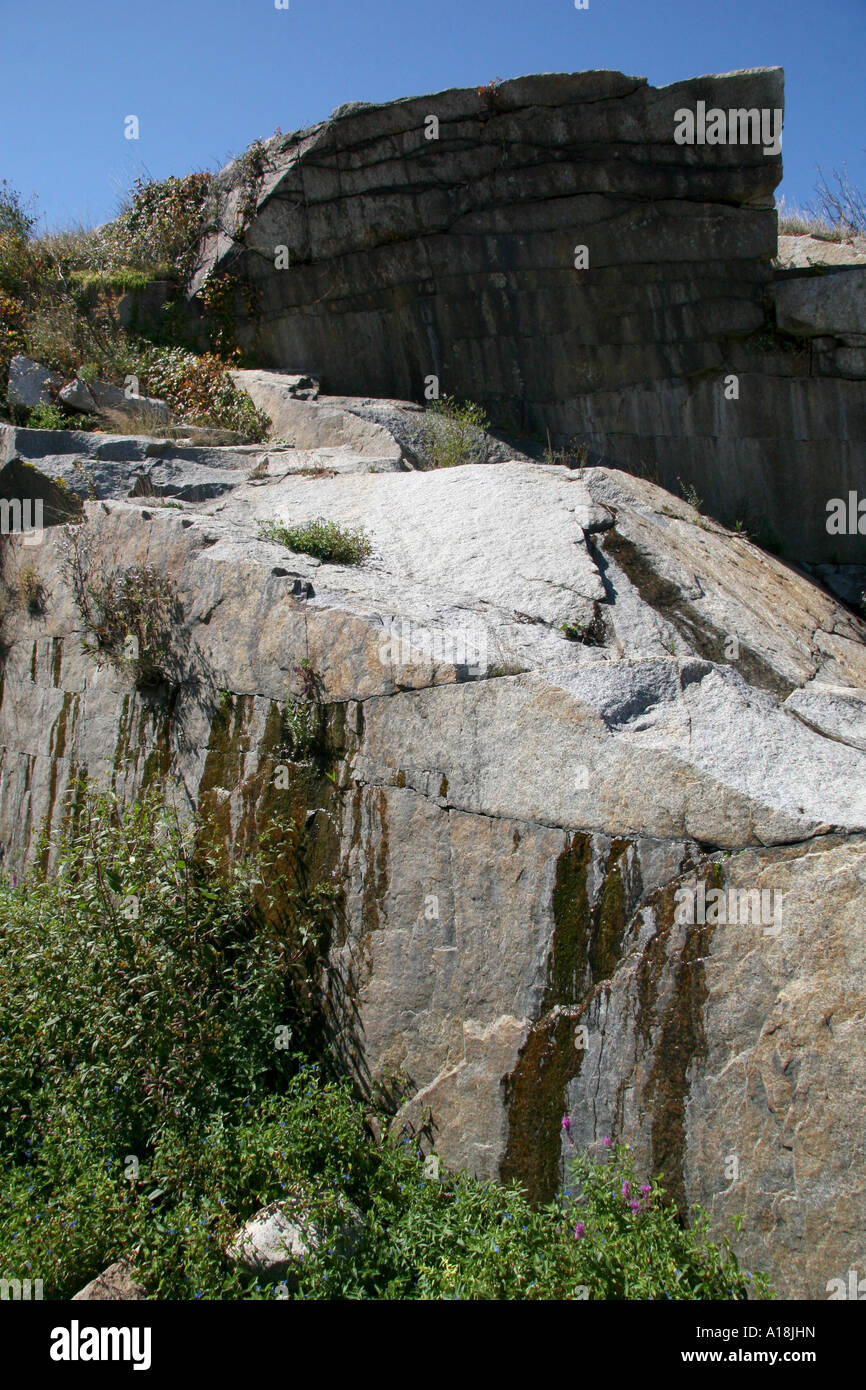 Un trafilamento di acqua fresca in esecuzione attraverso fessure nelle rocce con piante che crescono Rockport Massachusetts USA Foto Stock Un trafilamento di acqua fresca in esecuzione attraverso fessure nelle rocce con piante che crescono Rockport Massachusetts USA Foto Stock