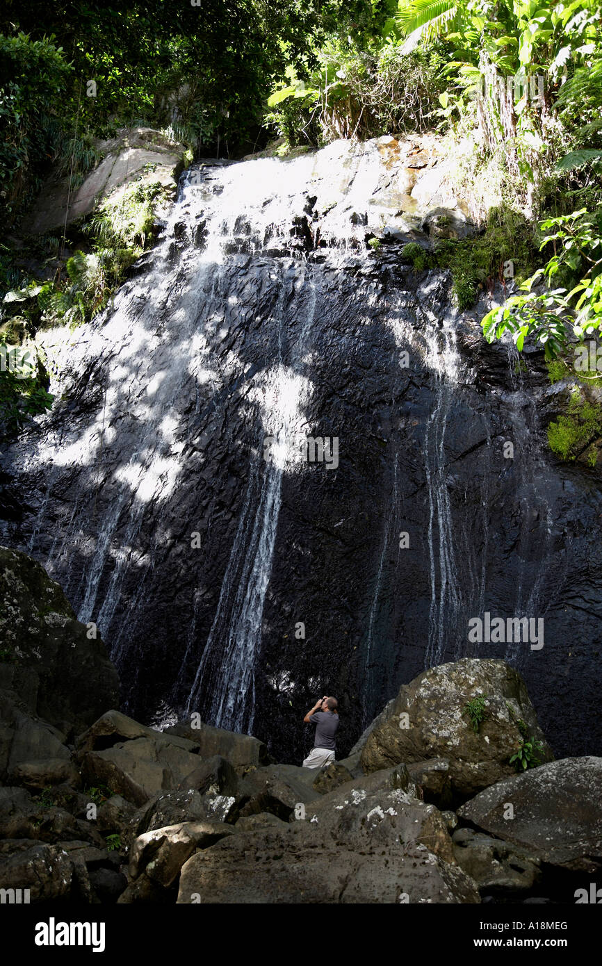 La cascata di coca Foresta Pluviale di El Yunque Puerto Rico west indies Foto Stock