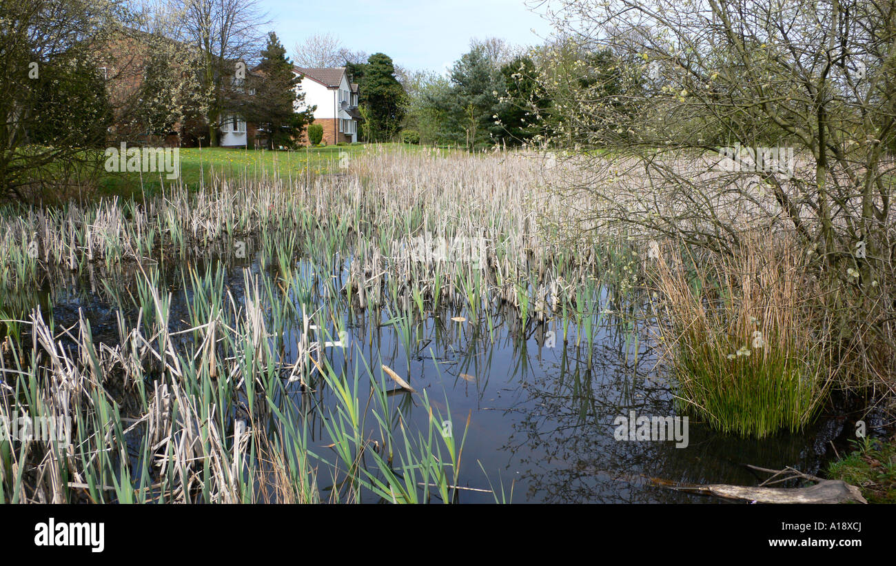 Case a Summerfields Wilmslow Cheshire England Regno Unito Foto Stock