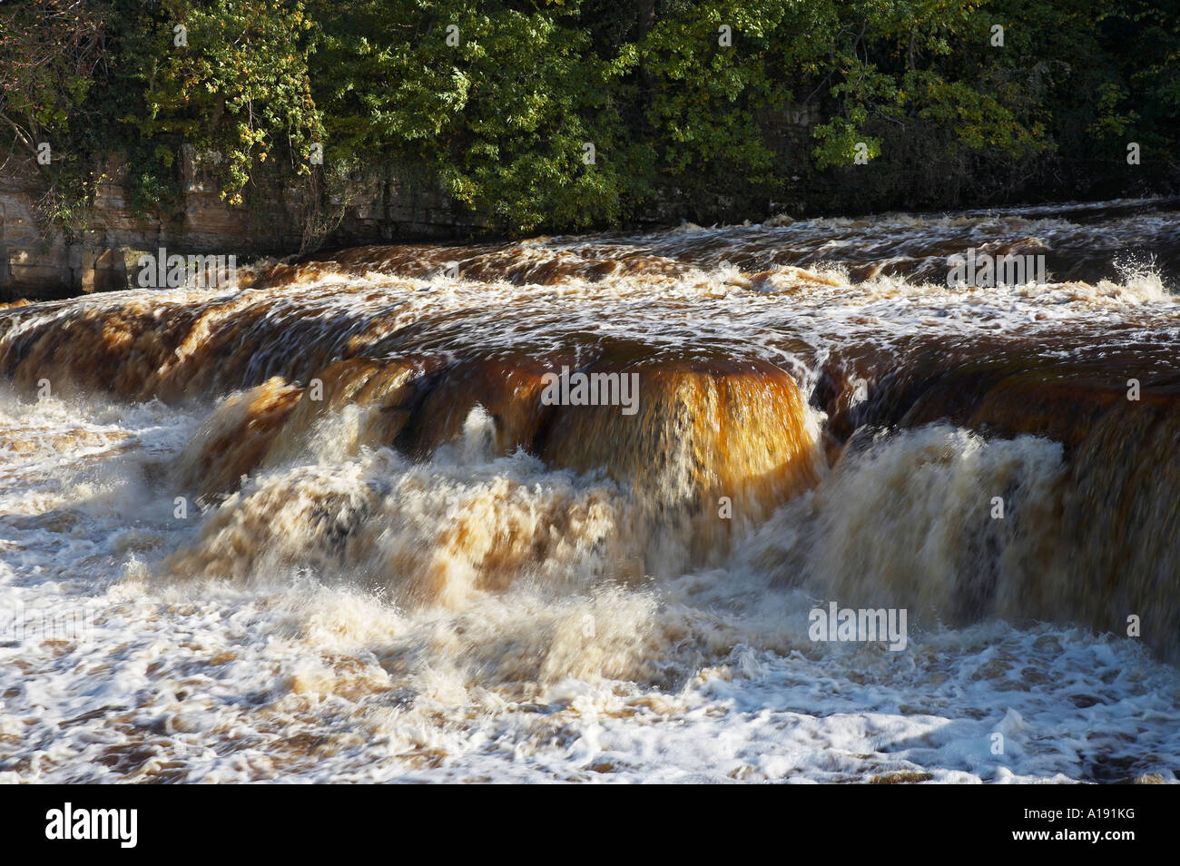 Il fiume Swale cade a Richmond Yorkshire Inghilterra Dopo forti piogge Foto Stock