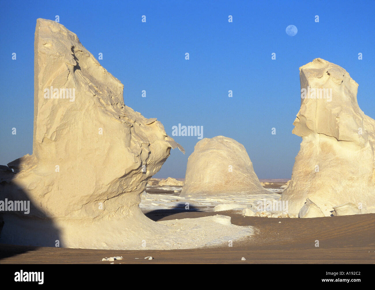 Le formazioni rocciose del Deserto Bianco Farafra Western Desert Egitto Foto Stock