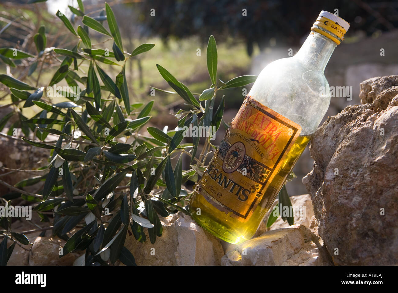 Vecchia bottiglia di olio di oliva e foglie di oliva sulla parete nella luce del sole , Puglia Italia Meridionale Foto Stock