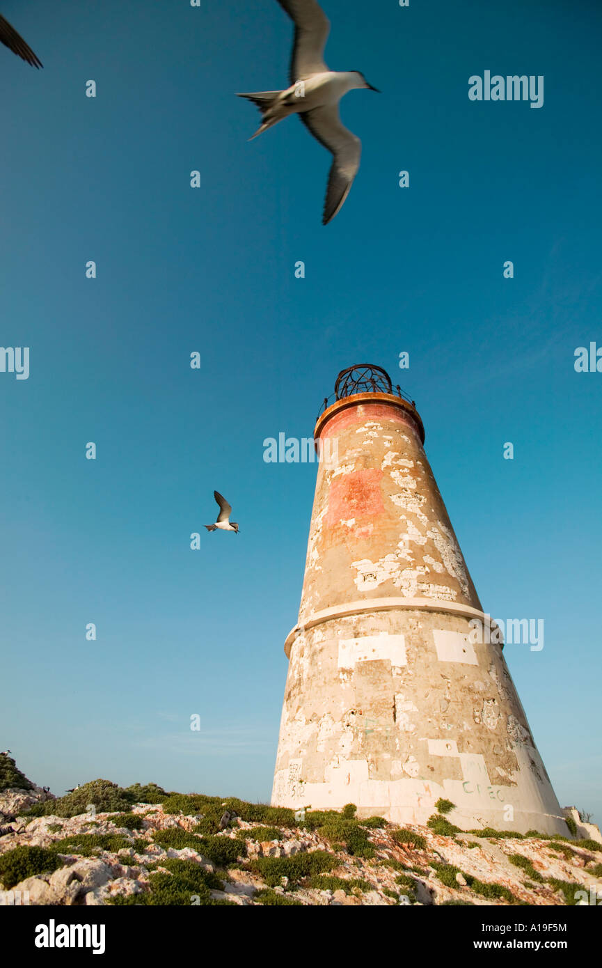 Il gomito Cay lighthouse Cay Sal Banca Isole Bahamas Foto Stock
