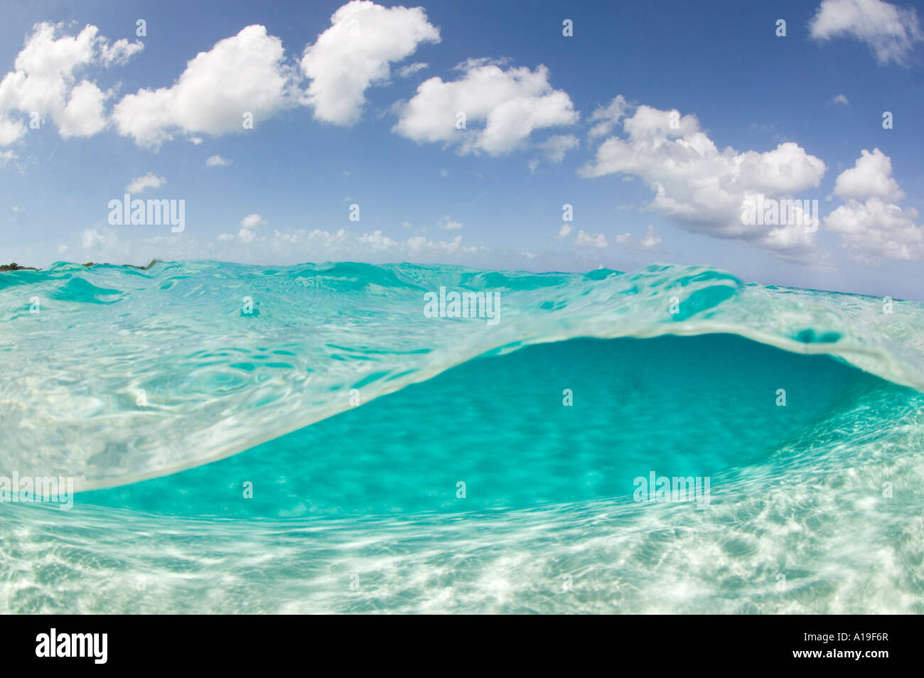 Sotto su immagine nel punto nordovest bassifondi Provo Isole Turks e Caicos Foto Stock