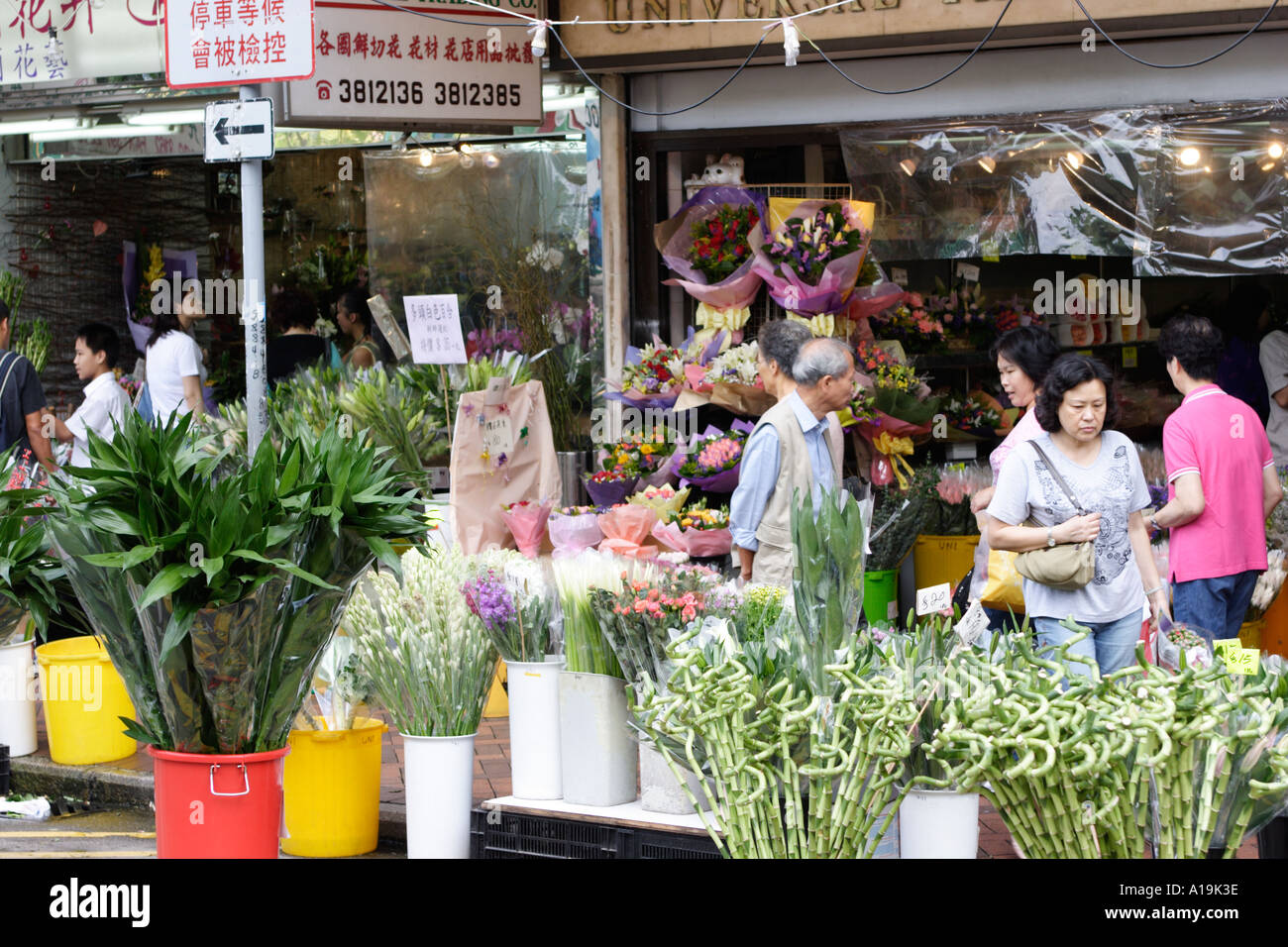 Flower Market Road Mongkok Kowloon Hong Kong Cina Foto Stock