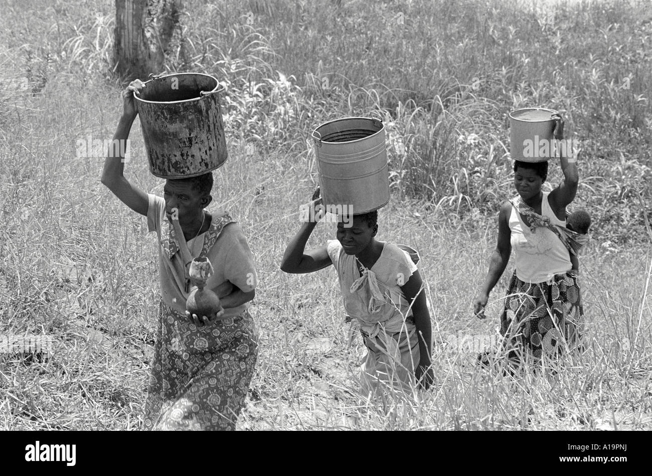 B/N di tre donne che trasportano l'acqua di ritorno al villaggio dopo averlo tratto da una fonte inquinata e pericolosa, spesso frequentata da coccodrilli Zimbabwe Foto Stock