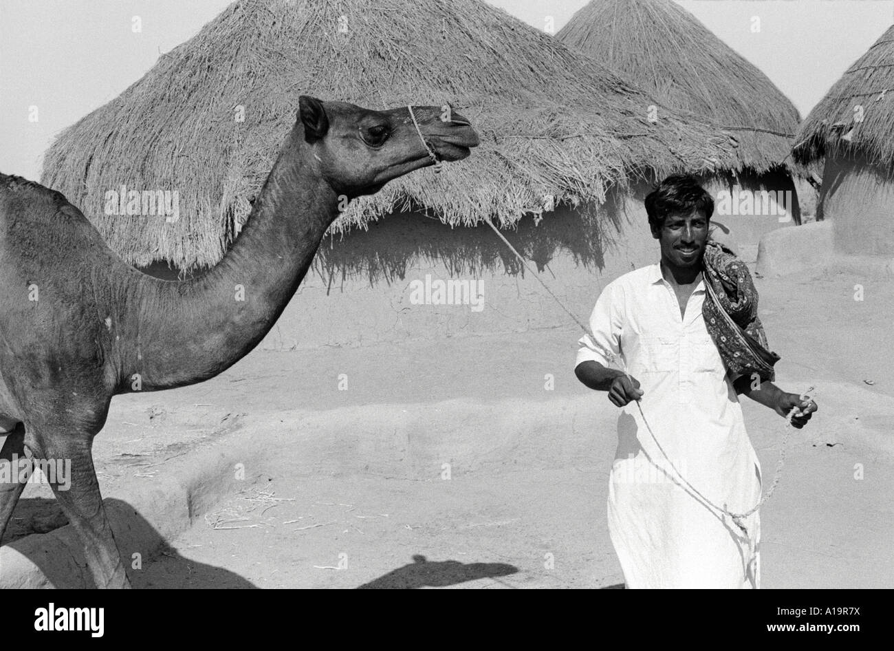 B/W di un contadino che conduce il suo cammello all'acqua nella regione arida del deserto di Tharparkar, Pakistan Foto Stock