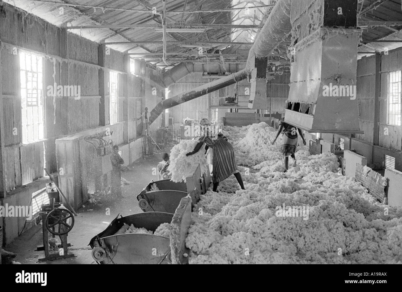 B/N di lavoratori in una fabbrica di ricoveri, che prelevano semi dal cotone, in una fabbrica a Bukoba, Lago Victoria, Tanzania occidentale Foto Stock