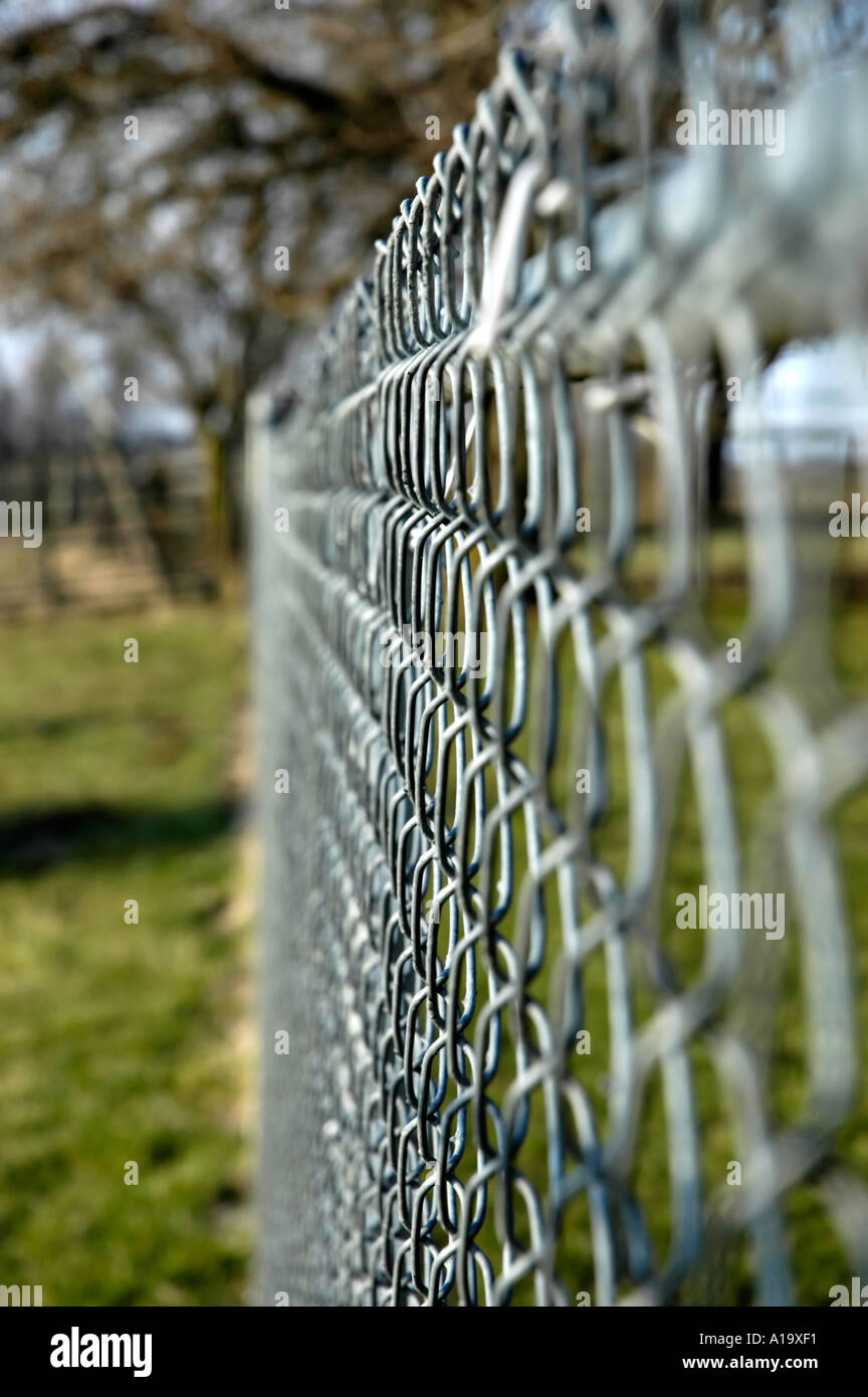 Sezione della catena collegamento recinto Foto Stock