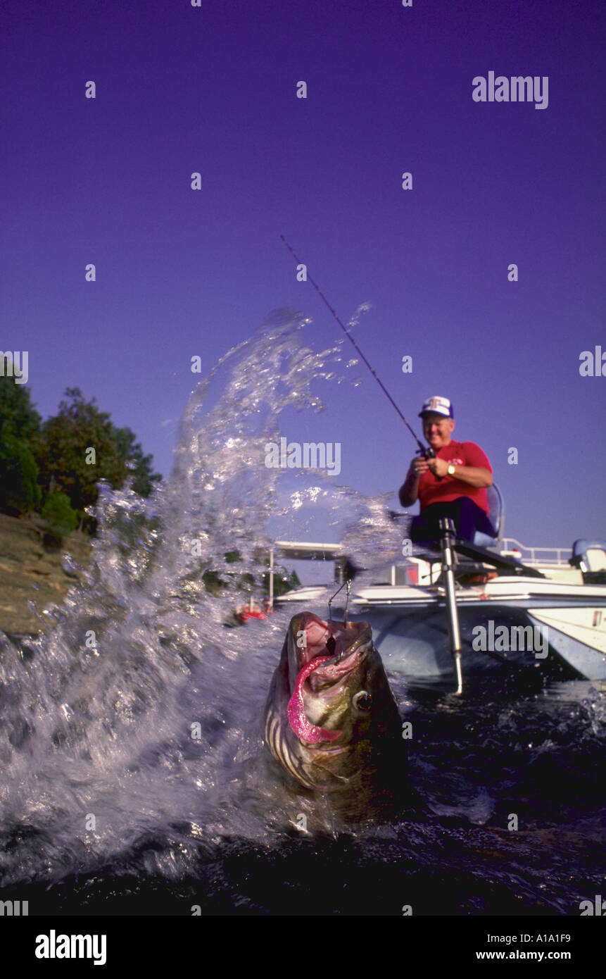 Vista della bocca piccola bass come pescatore bobine in la sua cattura Foto Stock