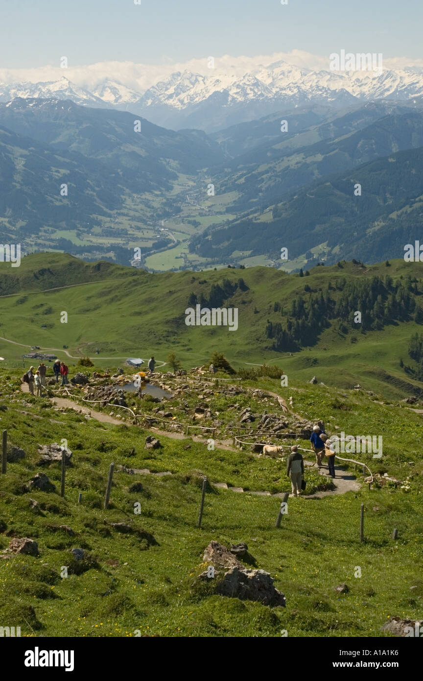 Austria Tirol Kitzbuhel Kitzbuheler Horn estate il giardino alpino con indicazioni interpretative Foto Stock