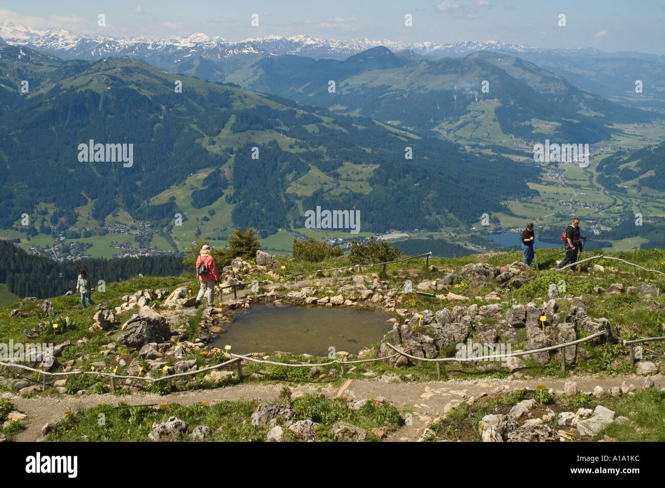 Austria Tirol Kitzbuhel Kitzbuheler Horn estate il giardino alpino con indicazioni interpretative Foto Stock