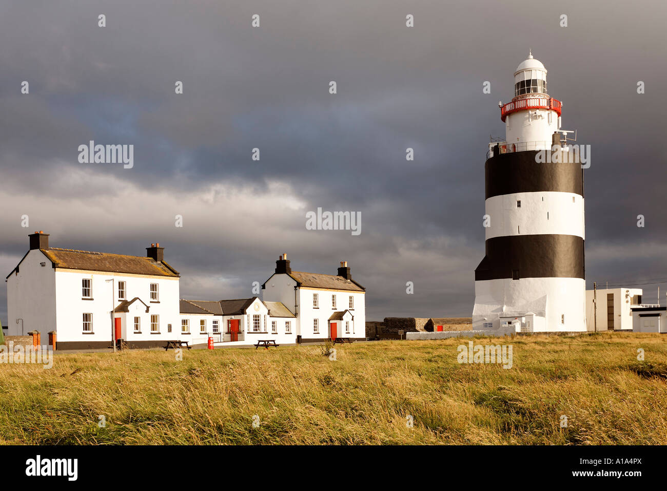 Faro di Hook Head che è risalente al 13.secolo, County Wexford, Irlanda Foto Stock