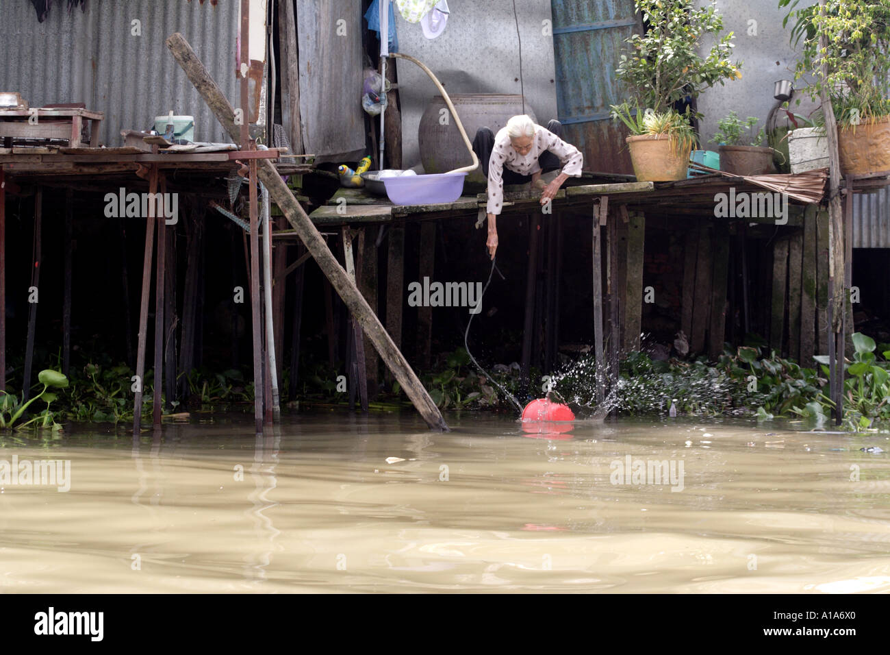 Donna raccoglie acqua dal Delta del Mekong, Vietnam Foto Stock