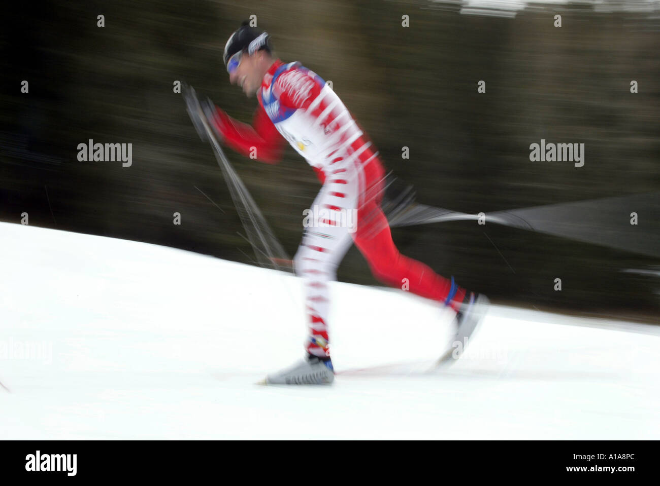 Sci di fondo, uomini Skilanglauf Männer - Tipico Foto Stock