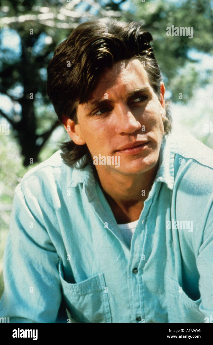 Gregory Smith  Young  Maschere Di Persone Famose, Facce Di Cartone 279307
