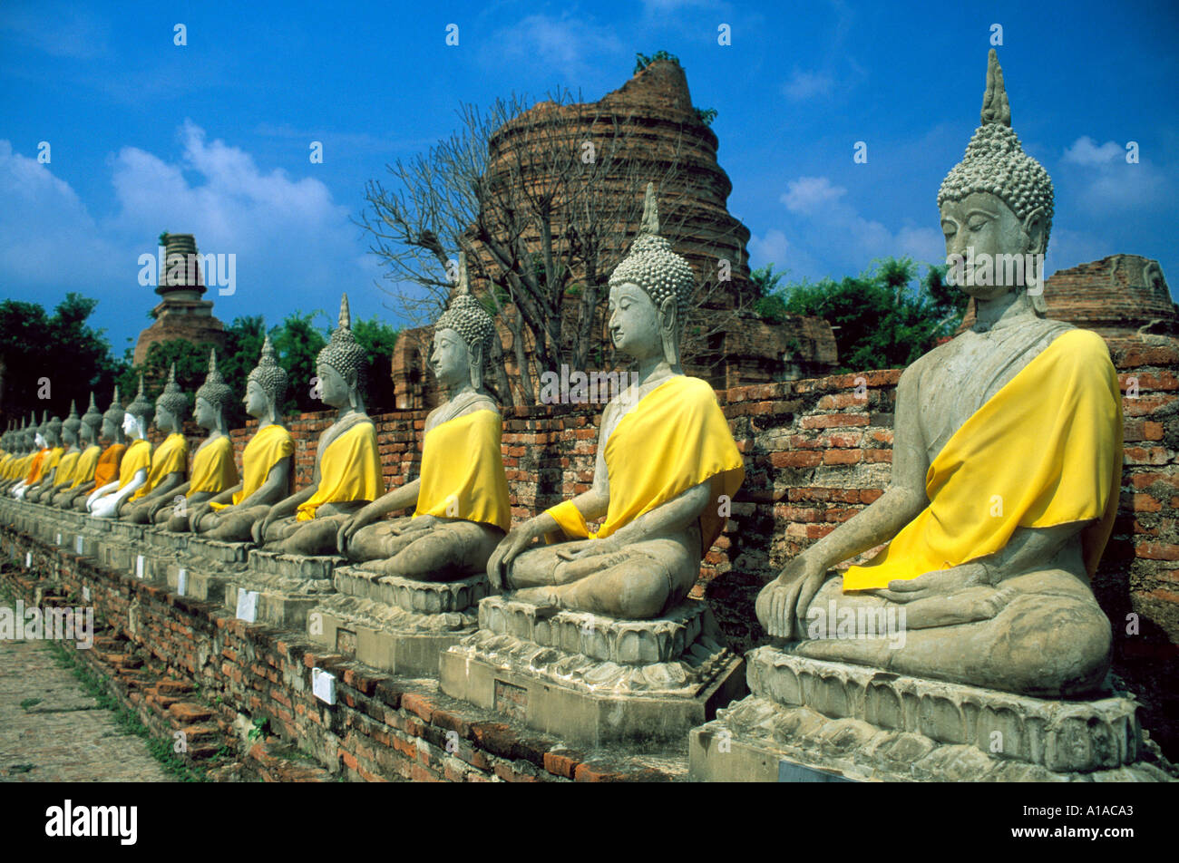 Linea di Buddha a Ayutthaya Thailandia Foto Stock