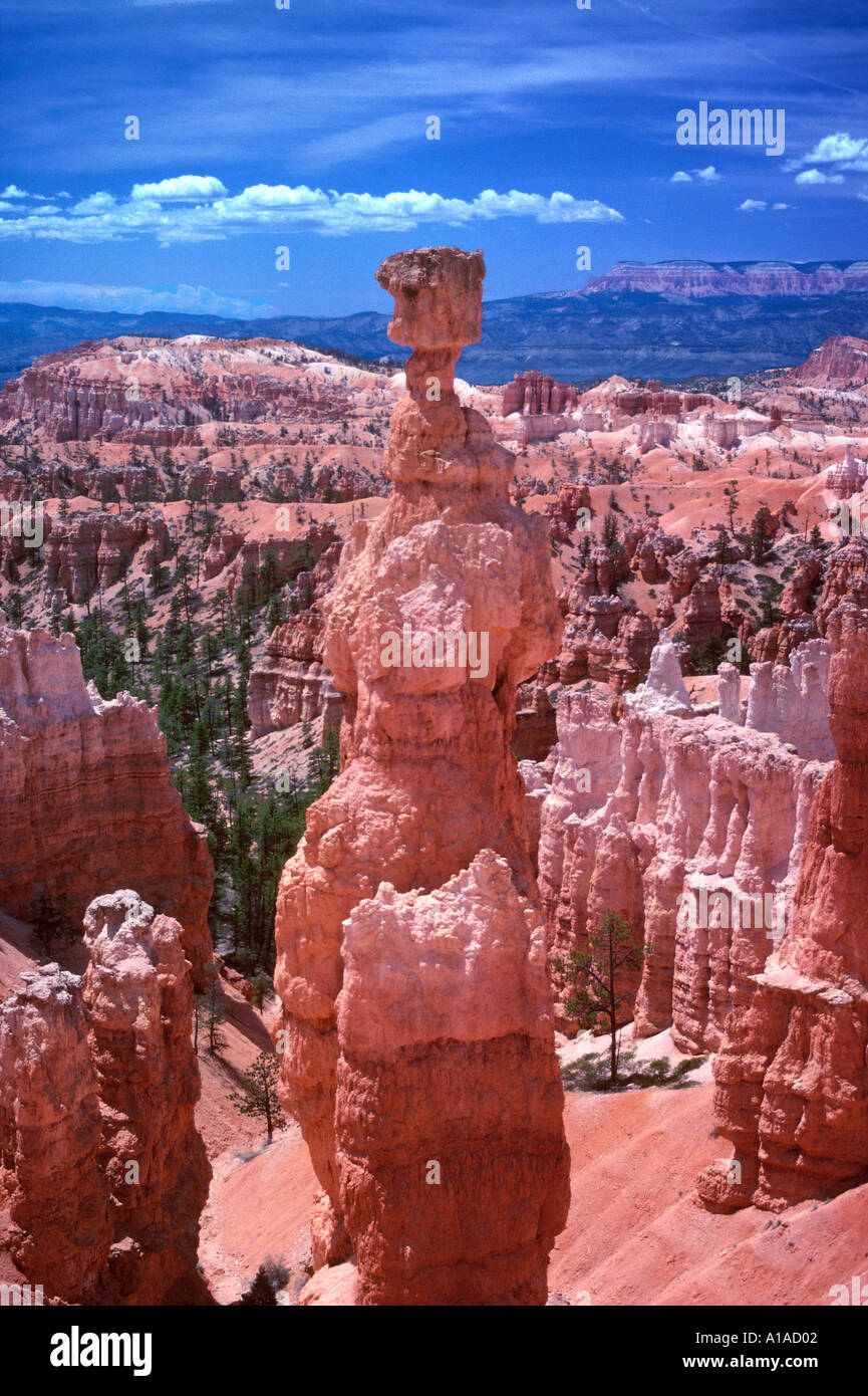 Hoodoo Bryce Canyon USA Foto Stock