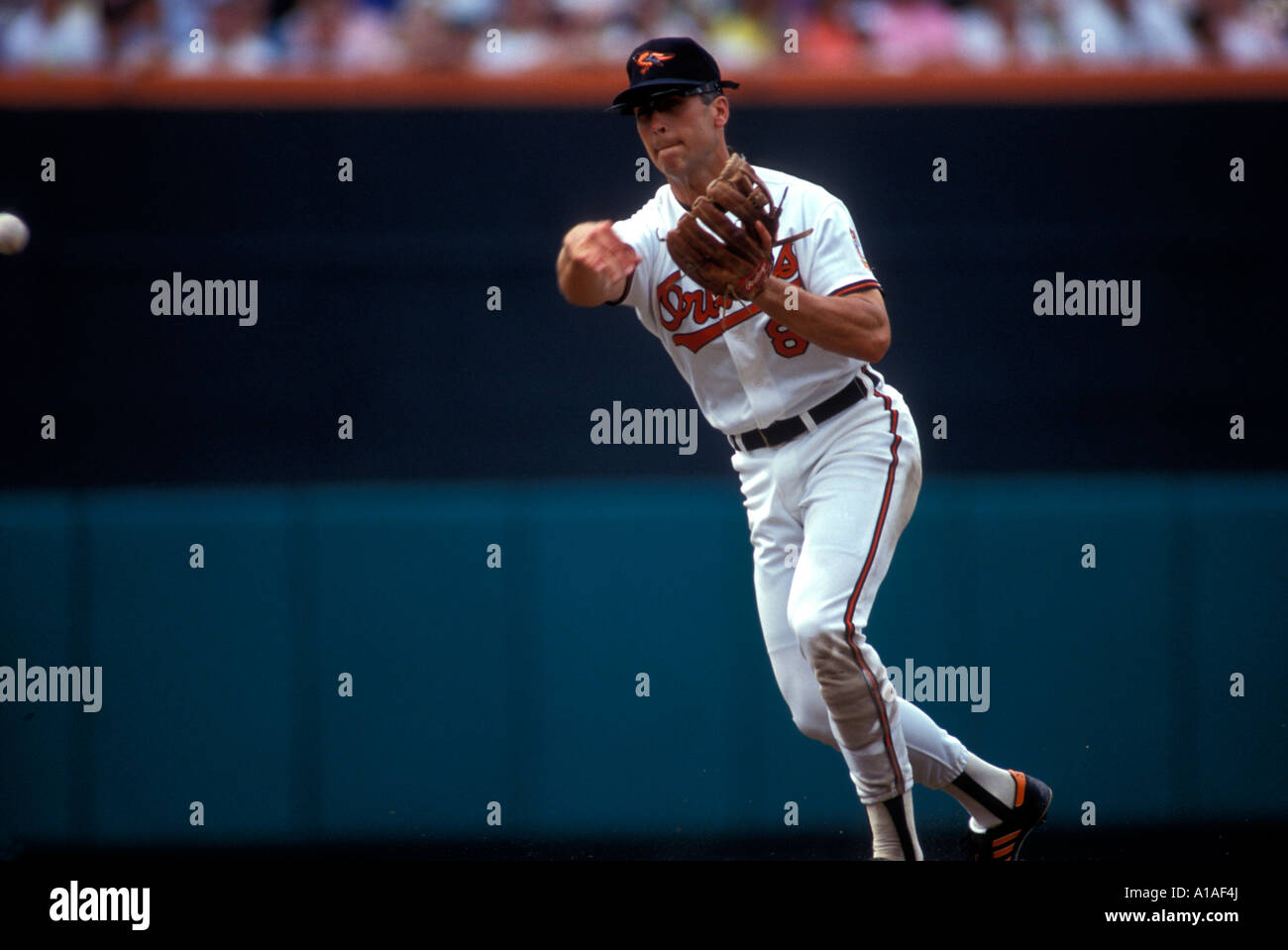 Stati Uniti Maryland Baltimore Orioles shorstop Cal Ripken campi infield ball durante la stagione 1991 Foto Stock