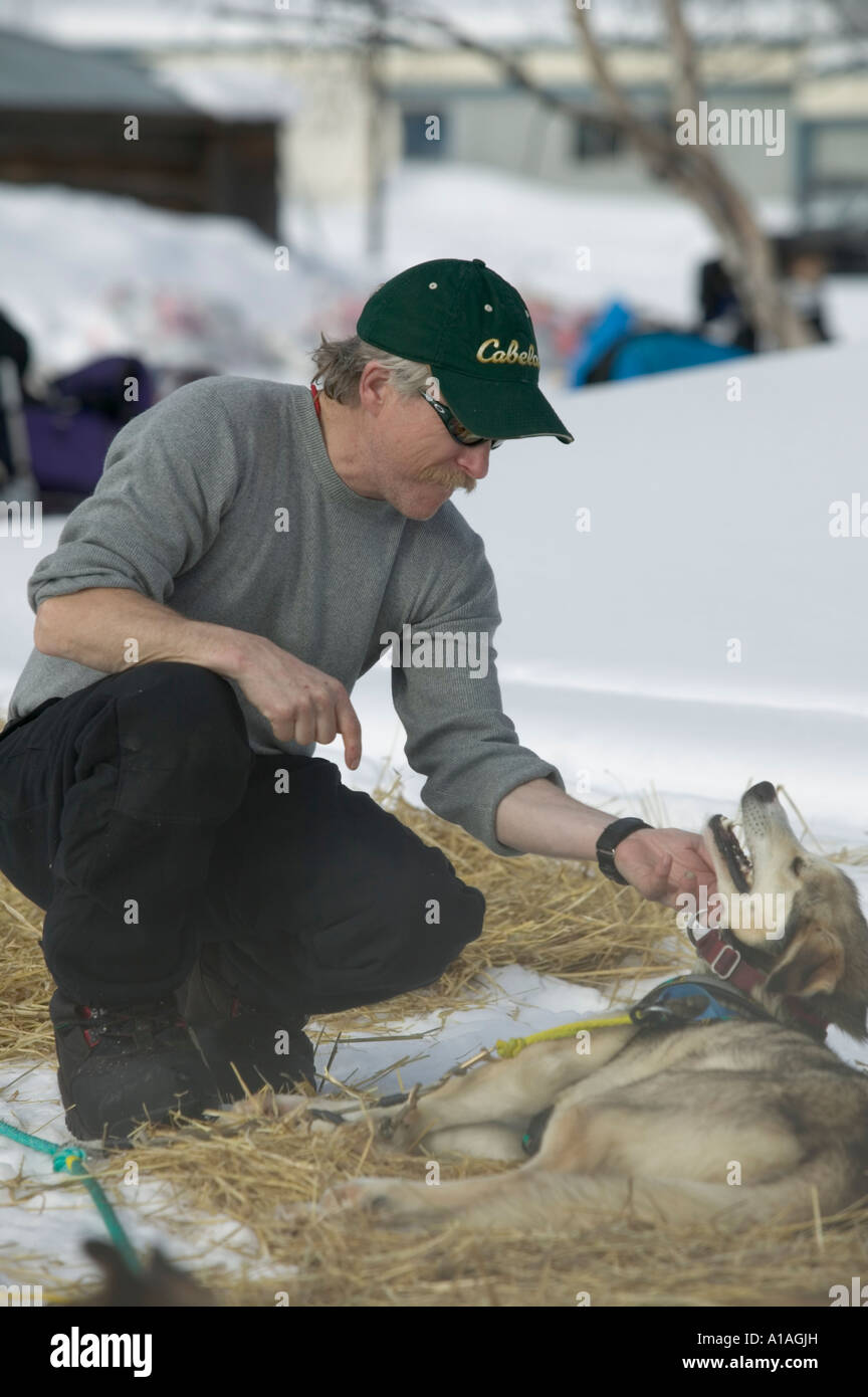 Stati Uniti d'America Alaska Temolo Musher Jeff King graffi mento del cane in appoggio al checkpoint lungo il fiume di Yukon Foto Stock