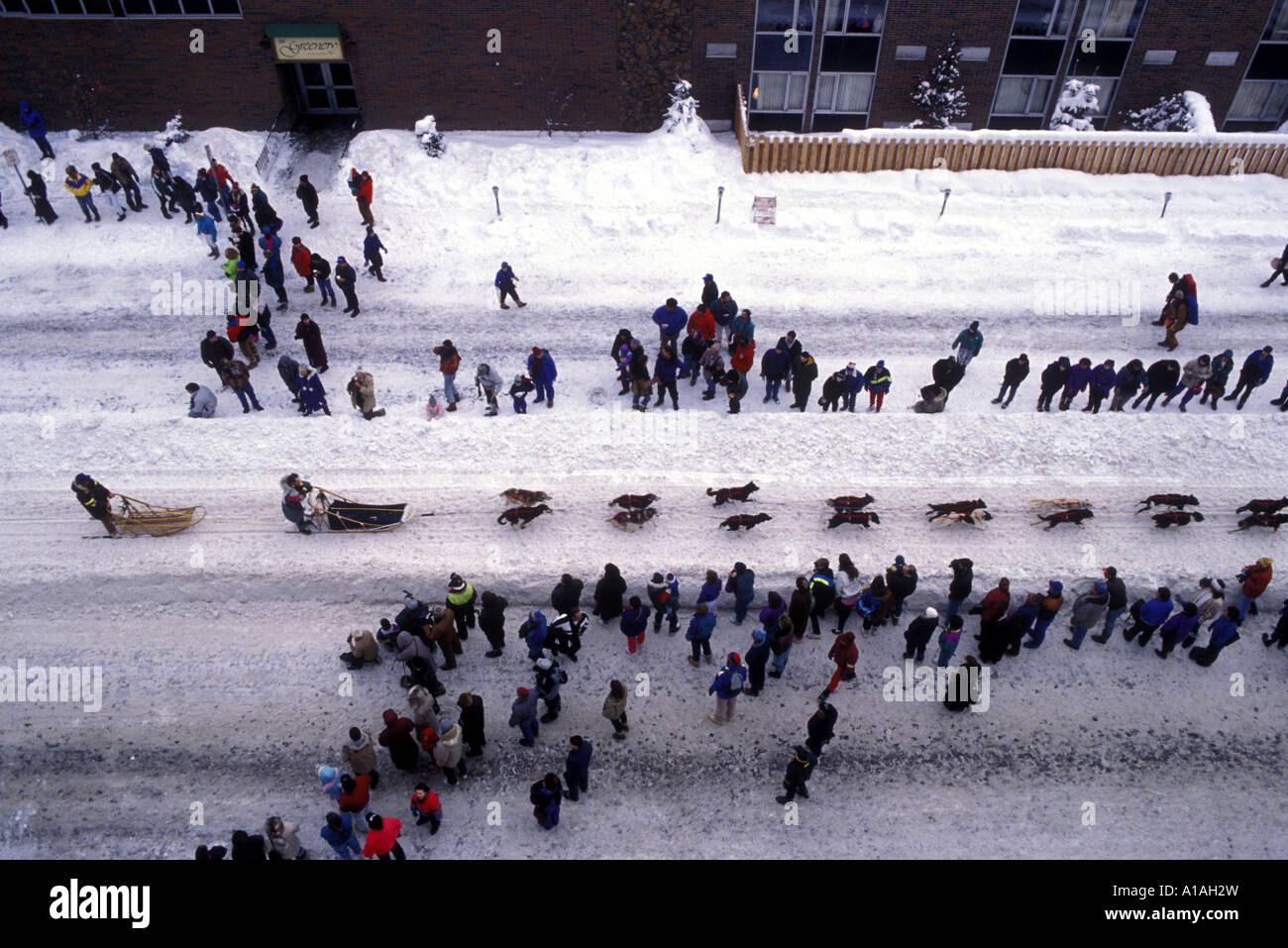 Stati Uniti d'America Alaska vista aerea del 1992 Iditarod Sled Dog Race start sulla 4a Avenue, nel centro cittadino di Anchorage Foto Stock
