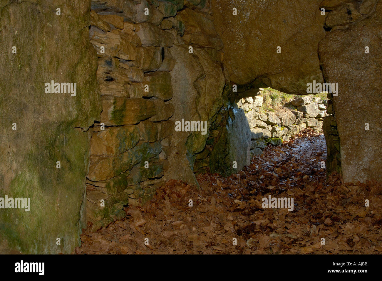 Hetty Peglers Tump Uley Long Barrow 3000BC interno Foto Stock