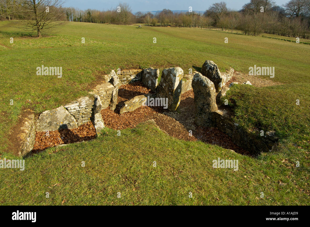 Nymphsfield Long Barrow Dursley Gloucestershire Foto Stock