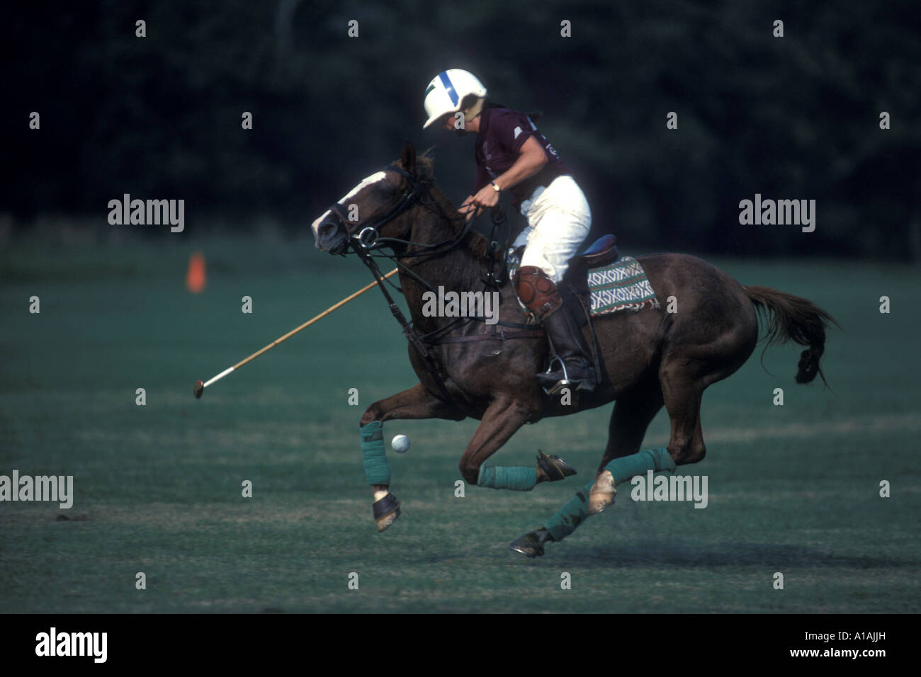 Stati Uniti Maryland femmina Poolesville giocatore di polo a cavallo svolge durante il match in Potomac Polo Club Foto Stock
