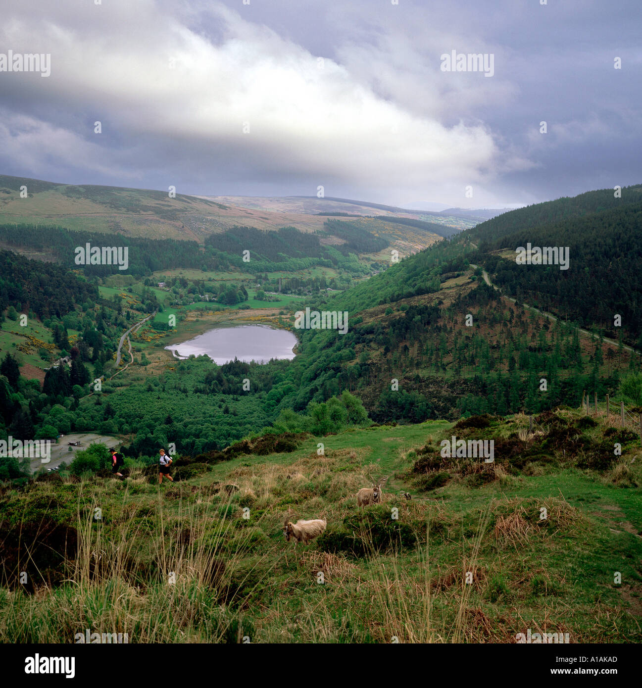 Glendalough Co Wicklow Irlanda Foto Stock