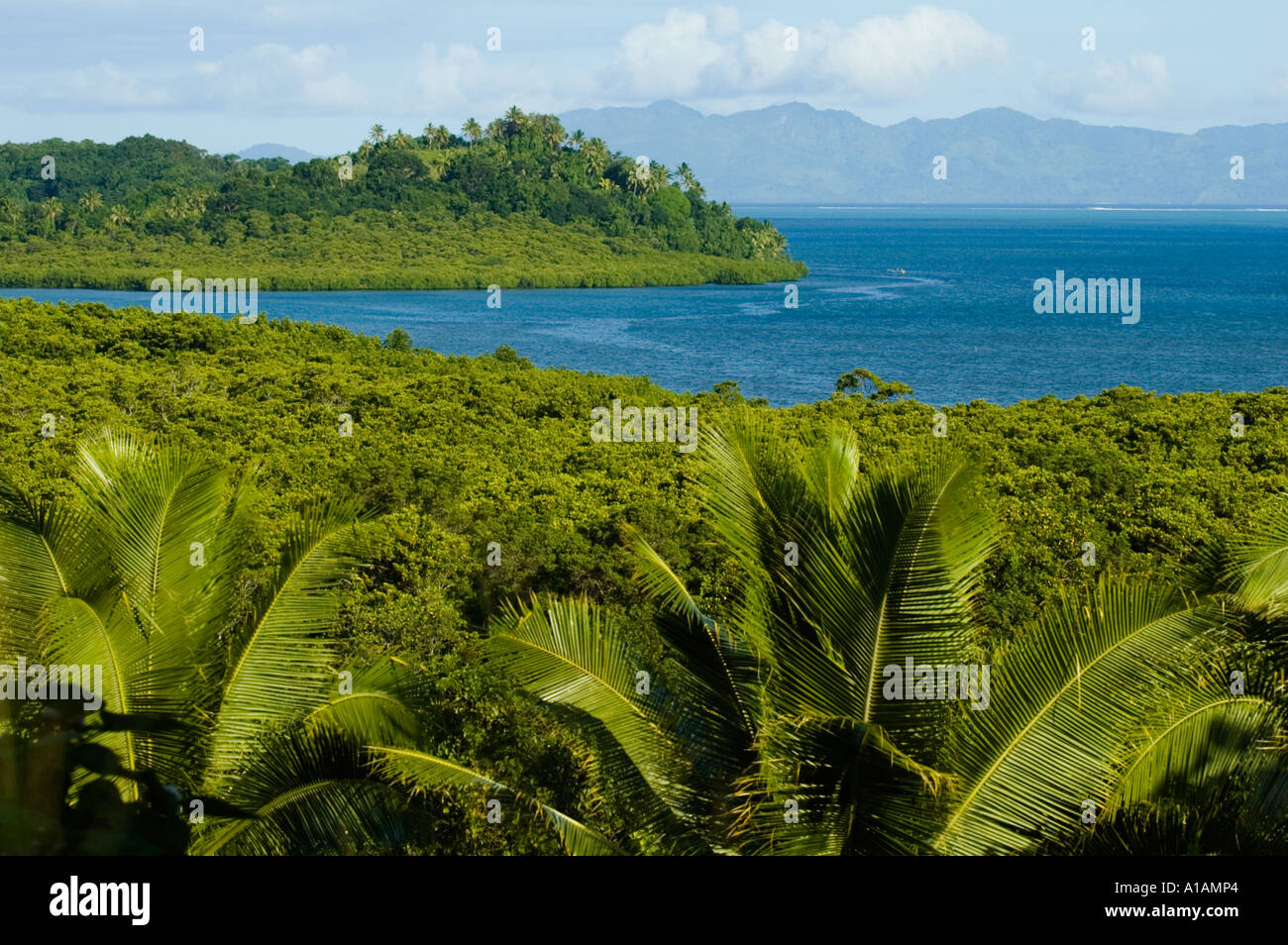 Fiji, Viti Levu, costa sud vicino a Korotogo Foto Stock