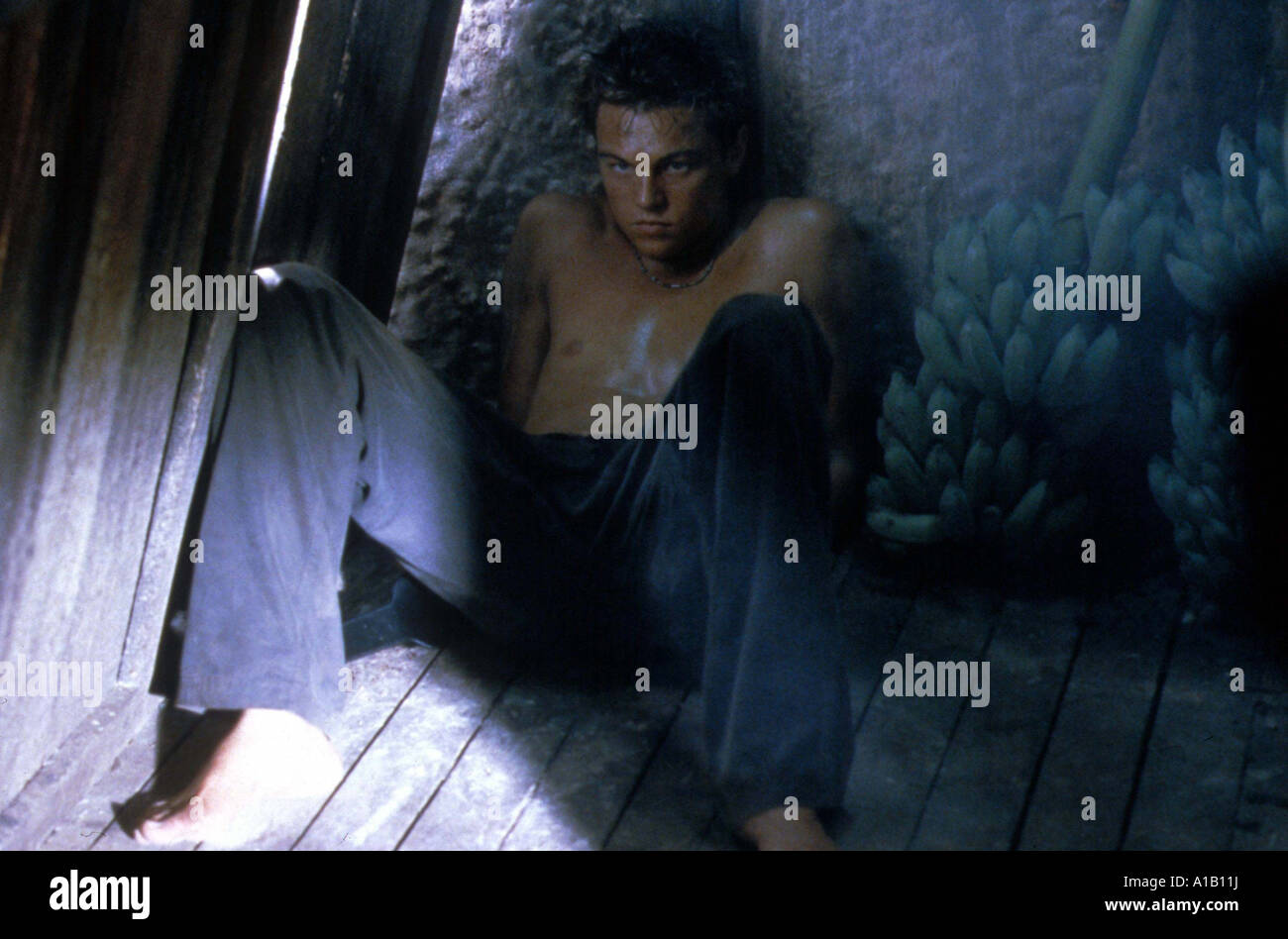 La spiaggia 2000 Director Danny Boyle Leonardo Di Caprio basato su Alex Garland s book Foto Stock