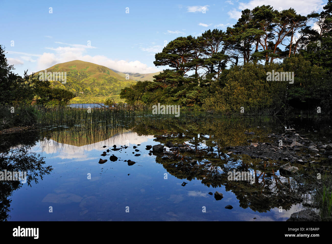 La montagna shehy specchi del Loch Lein, parco nazionale di Killarney, Irlanda Foto Stock