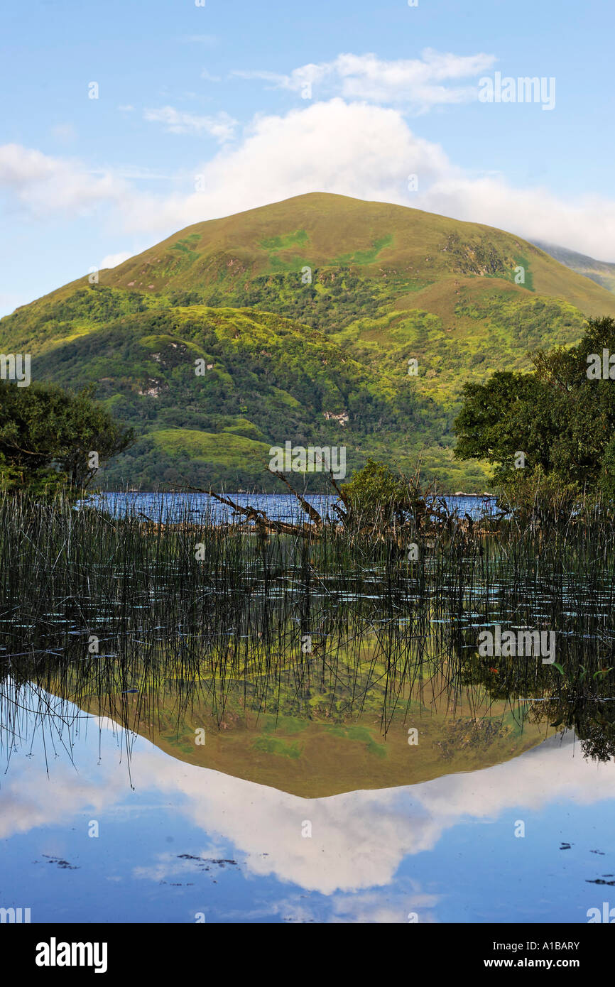 La montagna shehy specchi del Loch Lein, parco nazionale di Killarney, Irlanda Foto Stock