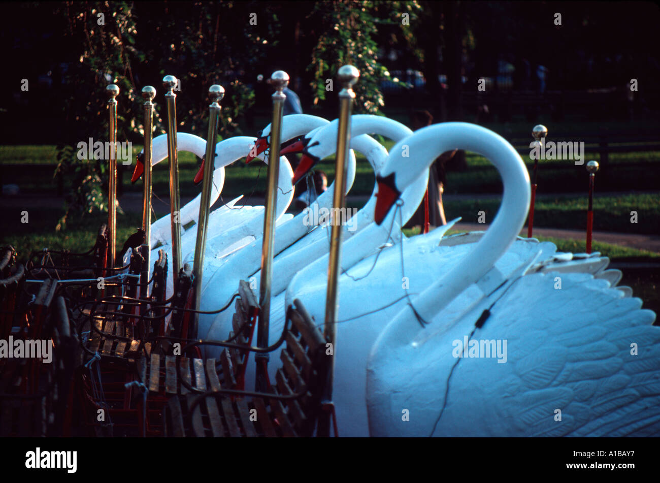 Swan barche su Frog Pond in Boston Public Garden Boston Massachusetts Foto Stock