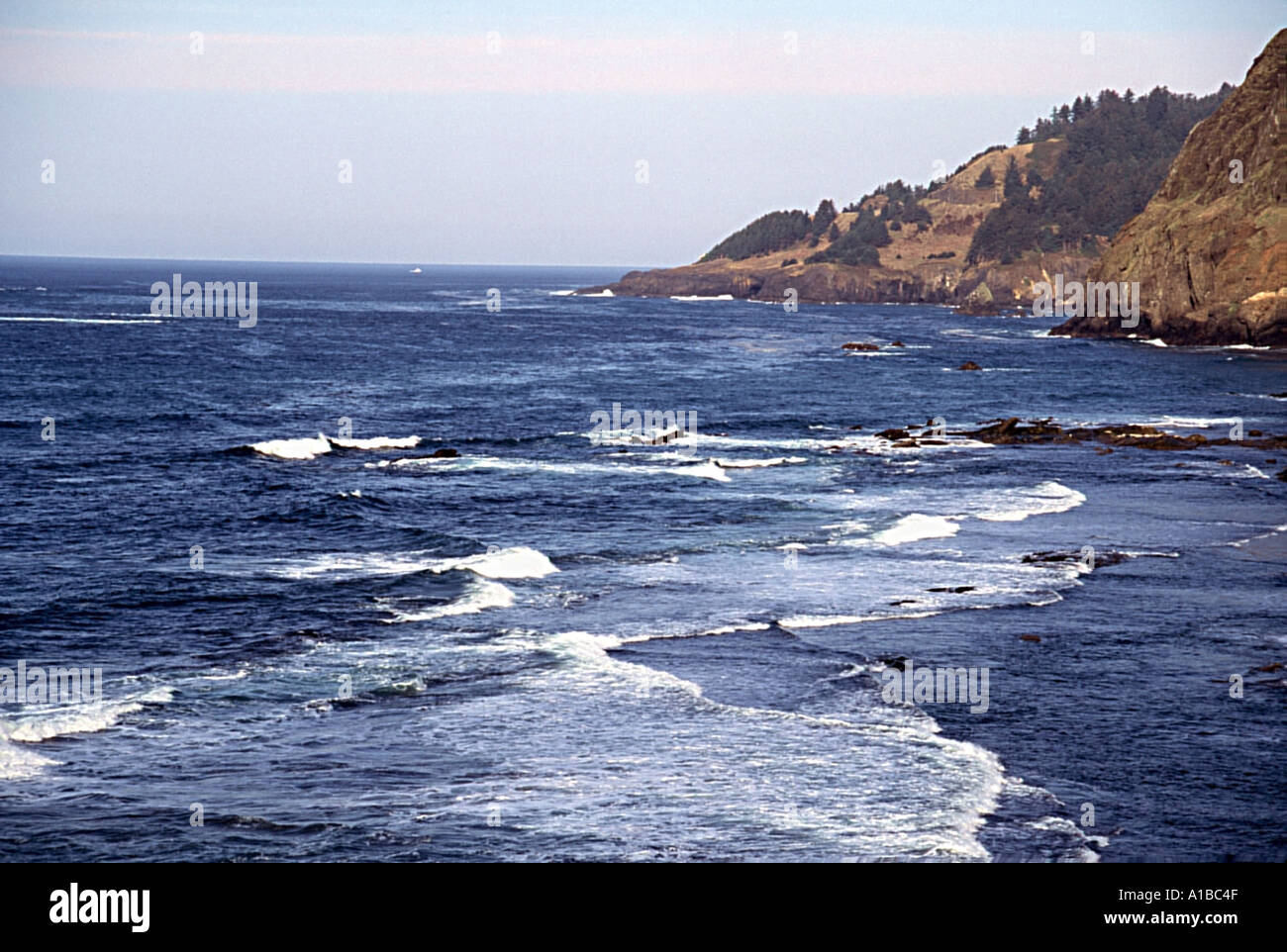 Oceano Pacifico vicino a Otter Crest Oregon Foto Stock