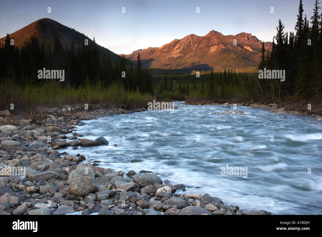 Riley Creek precipita attraverso la parte orientale del Parco Nazionale di Denali, Alaska. Foto Stock