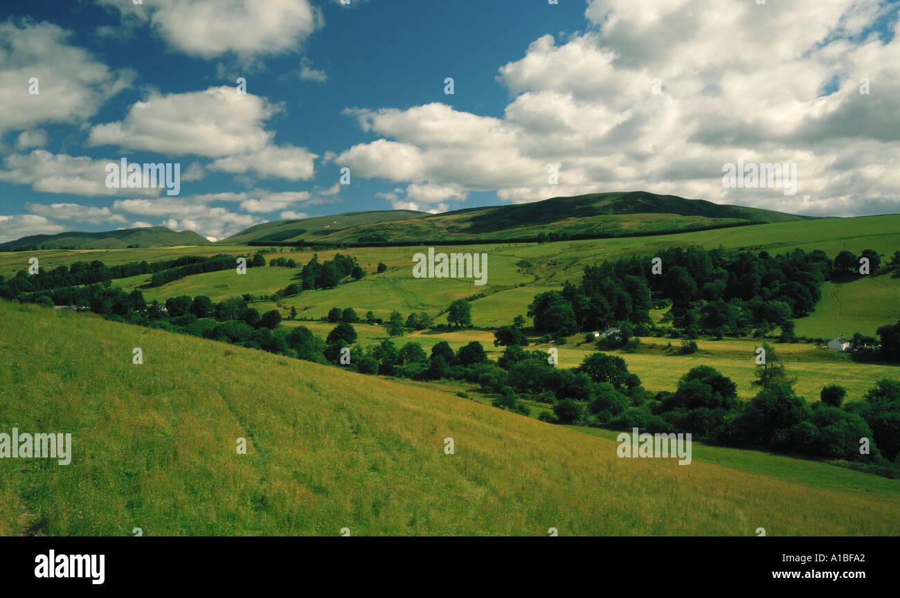 Il verde lussureggiante dei campi, boschi e colline basse in Annandale Valley vicino a Moffat nella zona di confine della Scozia UK Foto Stock