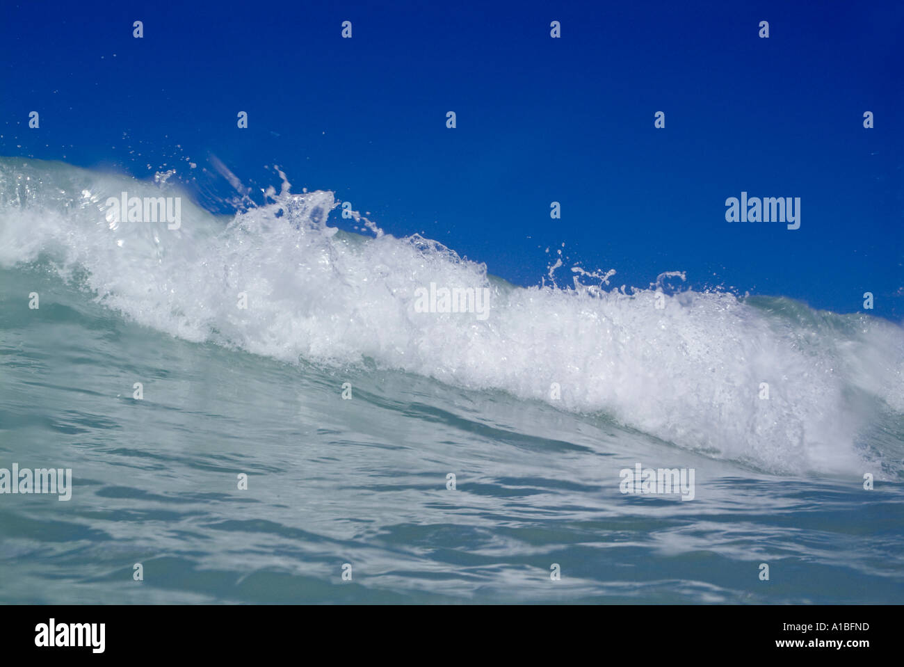 Si infrangono onde spumeggianti in blu le acque dell'oceano. Foto Stock