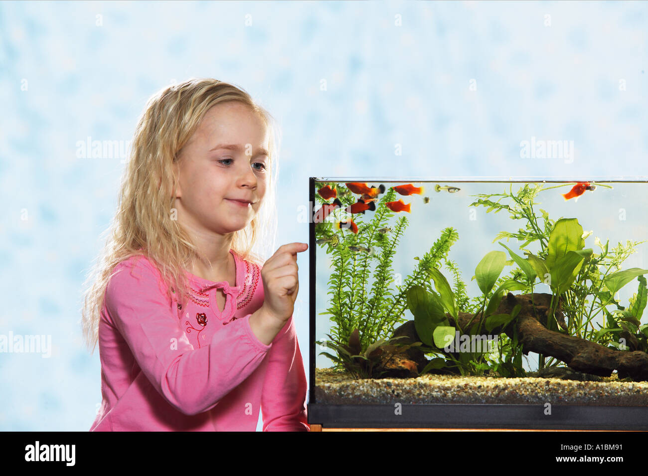 Ragazza accanto ad un acquario Foto Stock